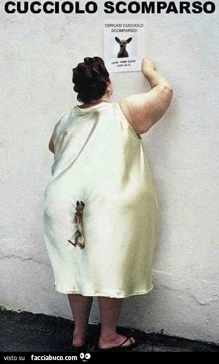 Cucciolo scomparso