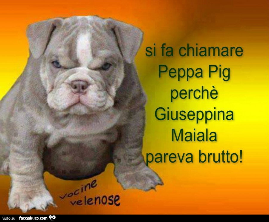 Si fa chiamare Peppa Pig perchè Giuseppina Maiala pareva brutto