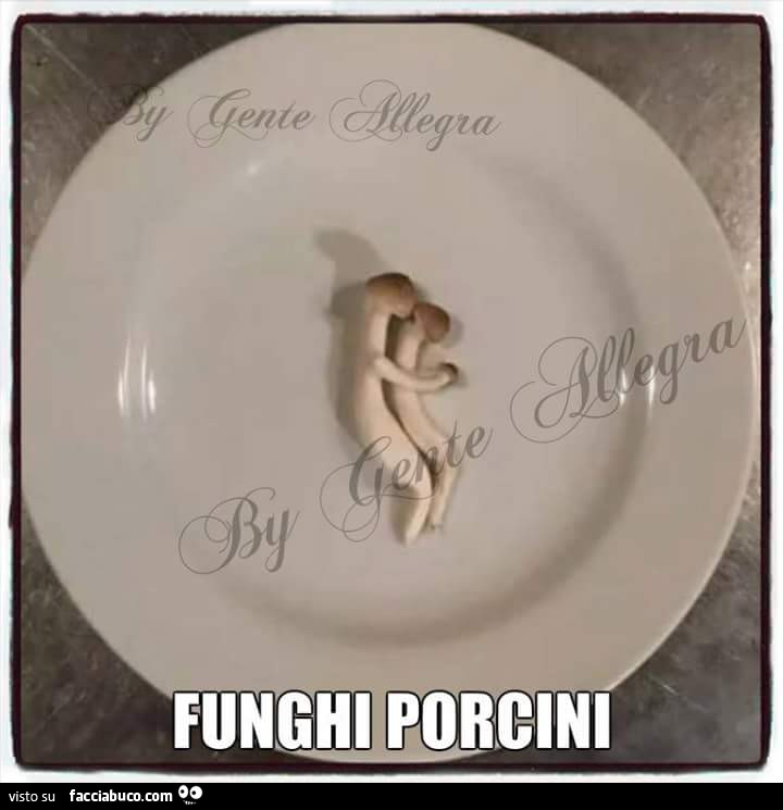 Funghi porcini abbracciati nel piatto