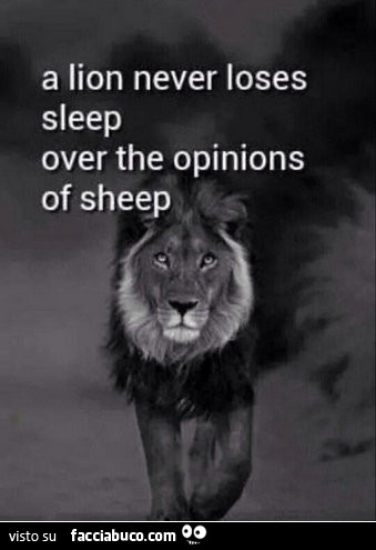 Un leone non perde mai il sonno sull'opinione delle pecore