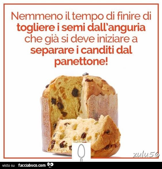 Nemmeno il tempo di finire di togliere i semi dall'anguria che già si deve iniziare a separare i canditi dal panettone