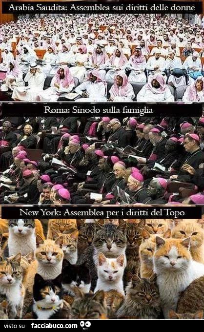 Arabia Saudita: assemblea sui diritti delle donne. Roma: sinodo sulla famiglia. New York: assemblea per i diritti del topo