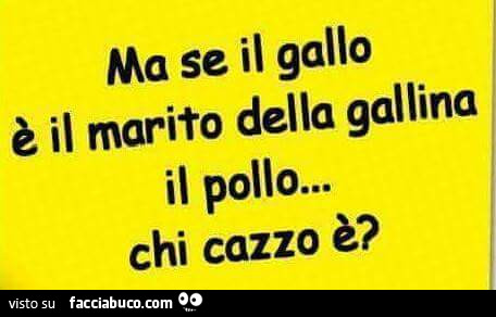 Ma se il gallo è il marito della gallina, il pollo chi cazzo è?