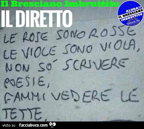 Il diretto. Le rose sono rosse, le viole sono viola, non so scrivere poesie fammi vedere le tette