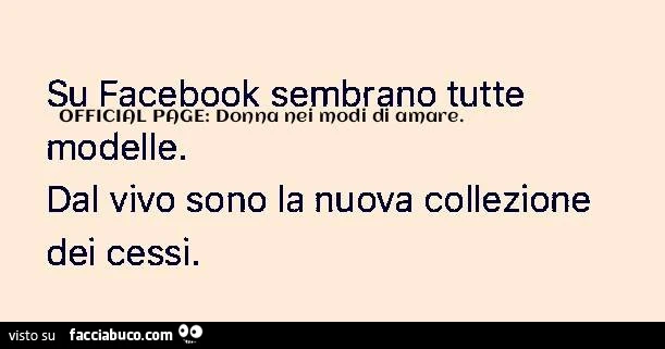 Su Facebook sembrano tutte modelli. Dal vivo sono la nuova collezione dei cessi