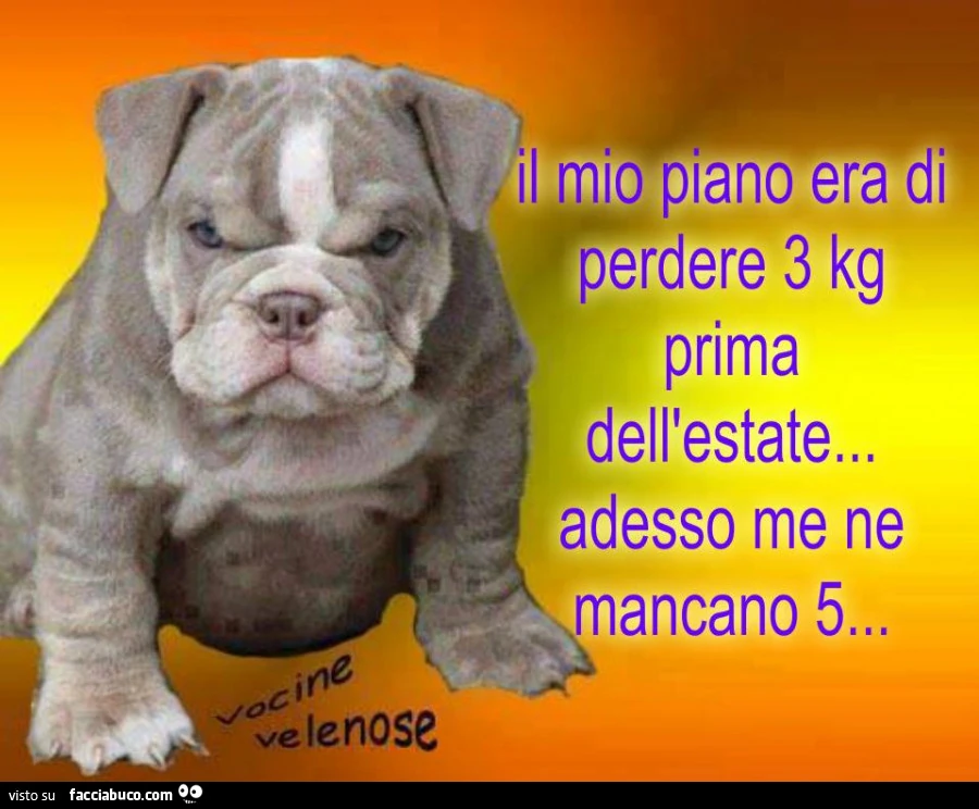 Il mio piano era di perdere 3 kg prima dell'estate. Adesso me ne mancano 5