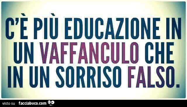 jg6mnazbct-c-e-piu-educazione-in-un-vaffanculo-che-in-un-sorriso-falso-e-buona-notte-facciabuchini_a.jpg