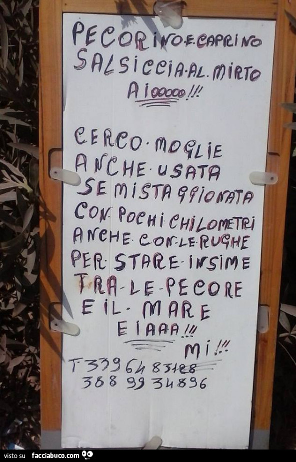 Pecorino e caprino salsiccia al mirto aiooo! Cerco moglie anche usata