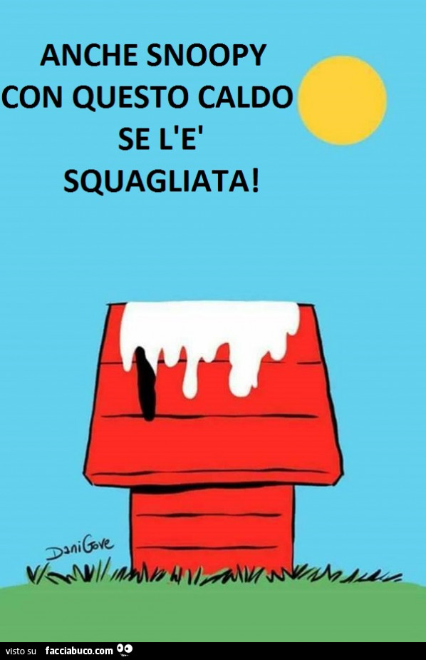 Anche Snoopy con questo caldo se l'è squagliata