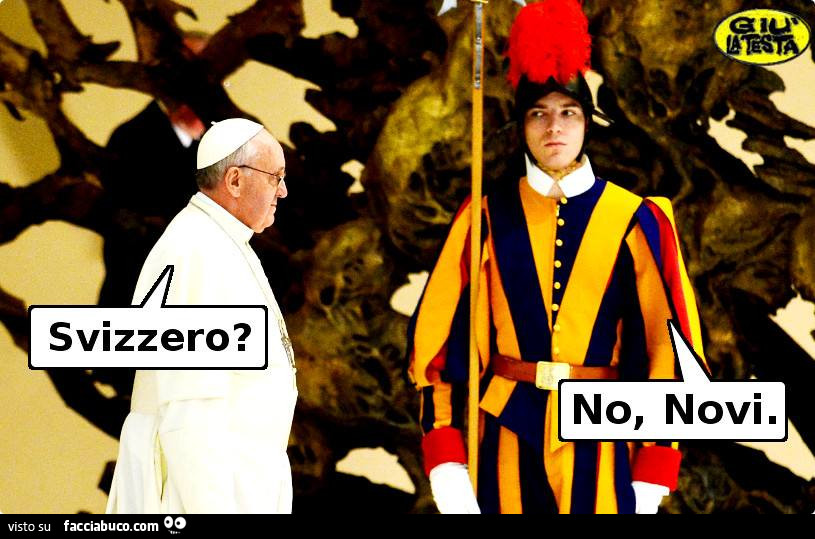 Papa Francesco: Svizzero? Guardia svizzera: no, Novi
