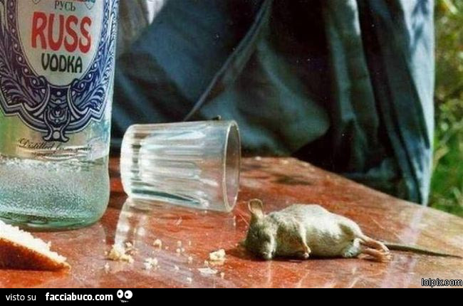 Topo ubriaco di Vodka