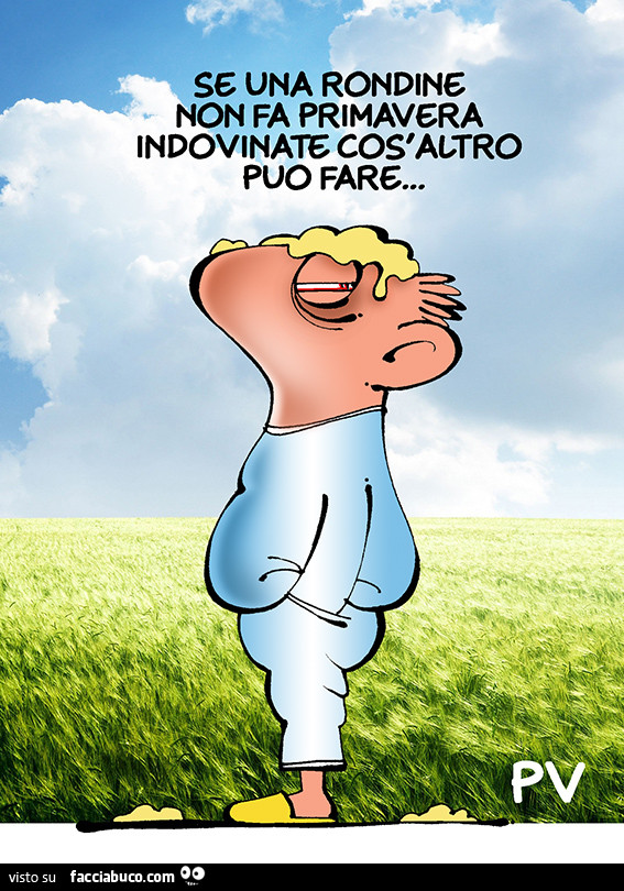 Se una rondine non fa primavera indovinate cos'altro può fare