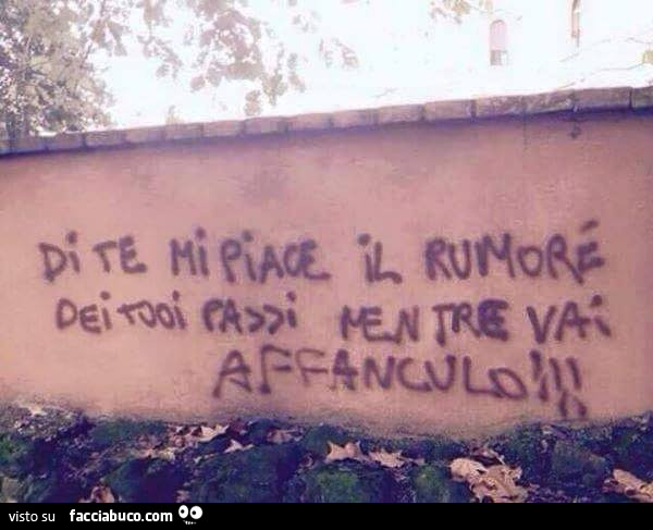 Di te mi piace il rumore dei tuoi passi mentre vai affanculo