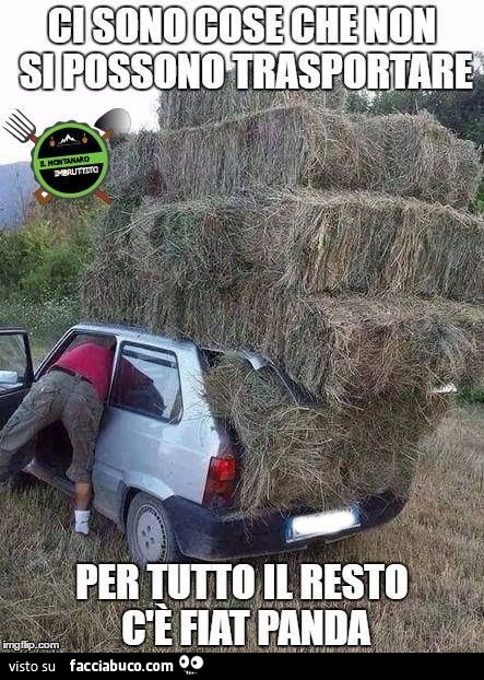 Ci sono cose che non si possono trasportare, per tutto il resto c'è Fiat Panda