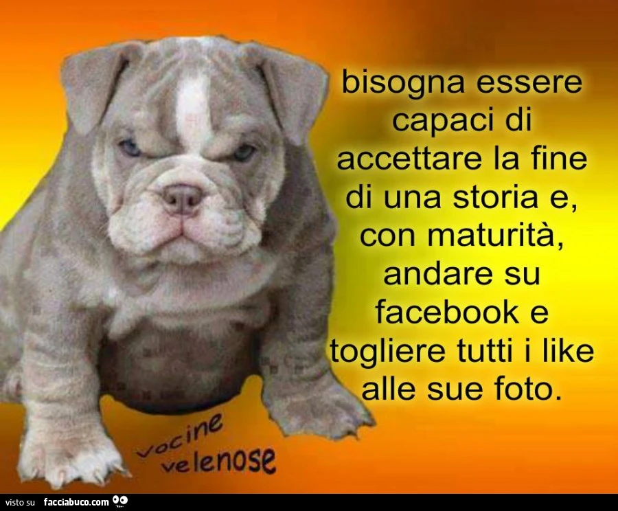 Bisogna essere capaci di accettare la fine di una storia e, con maturità, andare su facebook e, togliere tutti i like alle sue foto