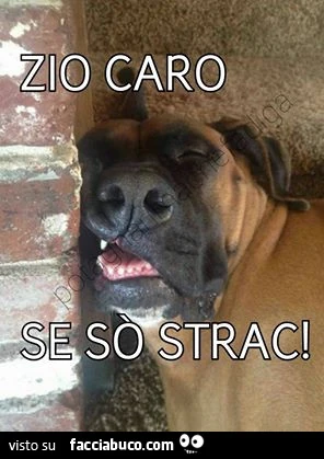 Zio caro se sò strac