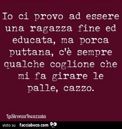 Io ci provo ad essere una ragazza fine ed educata, ma porca puttana, c'è sempre qualche coglione che mi fa girare le palle, cazzo
