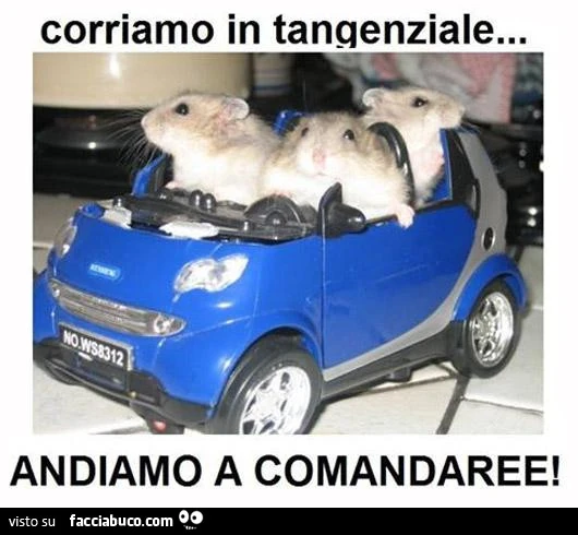 Corriamo in tangenziale, andiamo a comandare