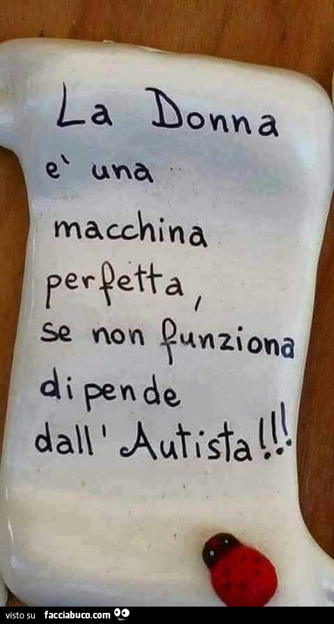 La donna è una macchina perfetta, se non funziona dipende dall'autista