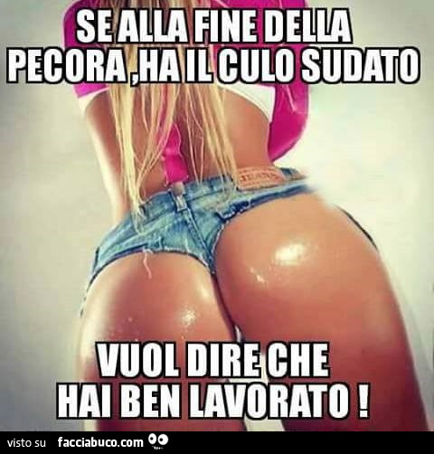 Se alla fine della pecora, ha il culo sudato, vuol dire che hai ben lavorato