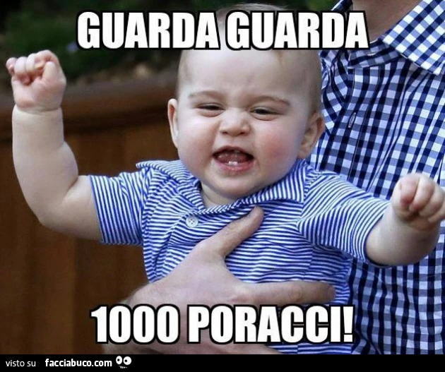 Baby George: guarda guarda 1000 poracci