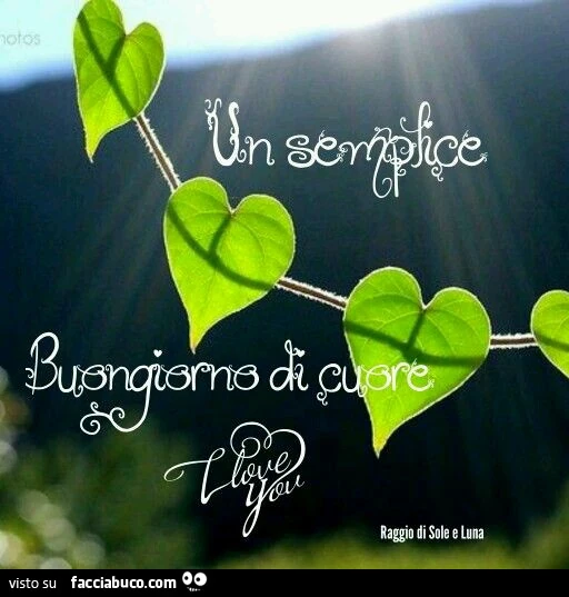Un semplice buongiorno di cuore