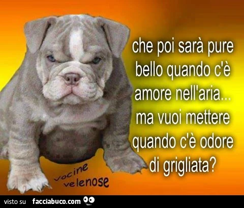 Che poi sarà pure bello quando c'è amore nell'aria, ma vuoi mettere quando c'è odore di grigliata?