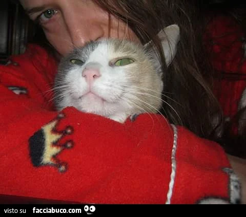 Il gatto di Lunadicristallo