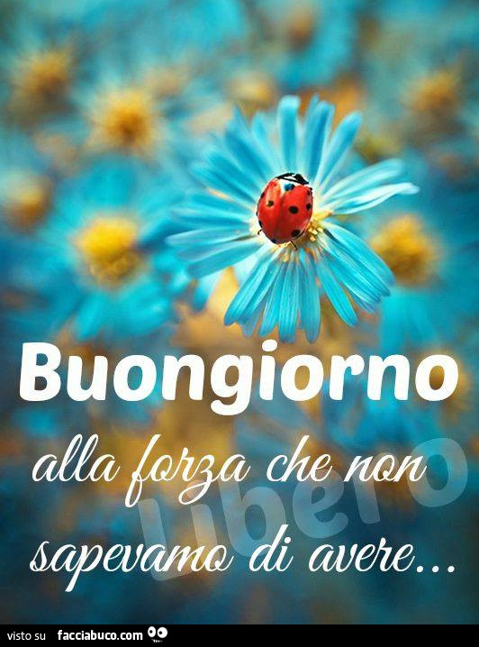 Buongiorno alla forza che non sapevamo di avere