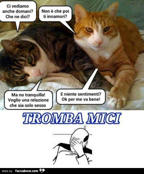 Tromba Mici