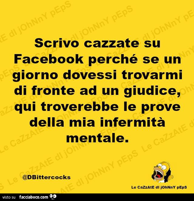 Scrivo cazzate su Facebook perchè se un giorno dovessi trovarmi di fronte ad un giudice, qui troverebbe le prove della mia infermità mentale