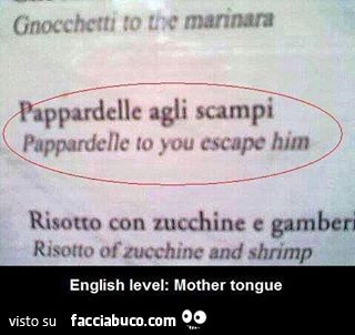 Pappardelle agli scampi. Pappardelle to you escape him. English level: mother tongue