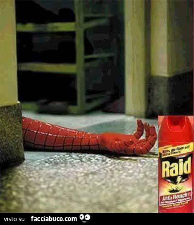 Raid. L'uomo ragno è morto