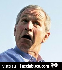 Bush con la faccia da idiota