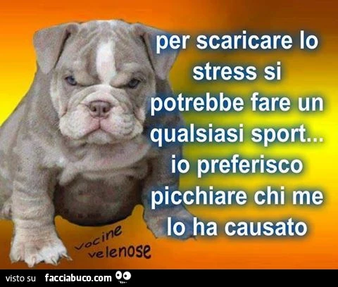 Per scaricare lo stress si potrebbe fare un qualsiasi sport. Io preferisco picchiare chi me lo ha causato