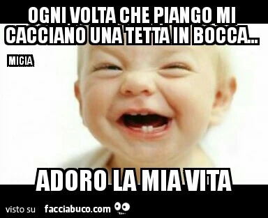 Ogni volta che piango mi cacciano una tetta in bocca. Adoro la mia vita