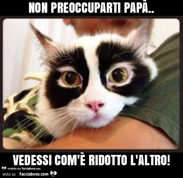 Non preoccuparti papà. Vedessi com'è ridotto l'altro
