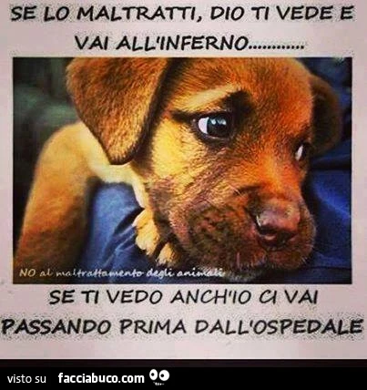 Se lo maltratti Dio ti vede e vali all'inferno&hellip; se ti vedo anchio ci vai passando prima dall'ospedale