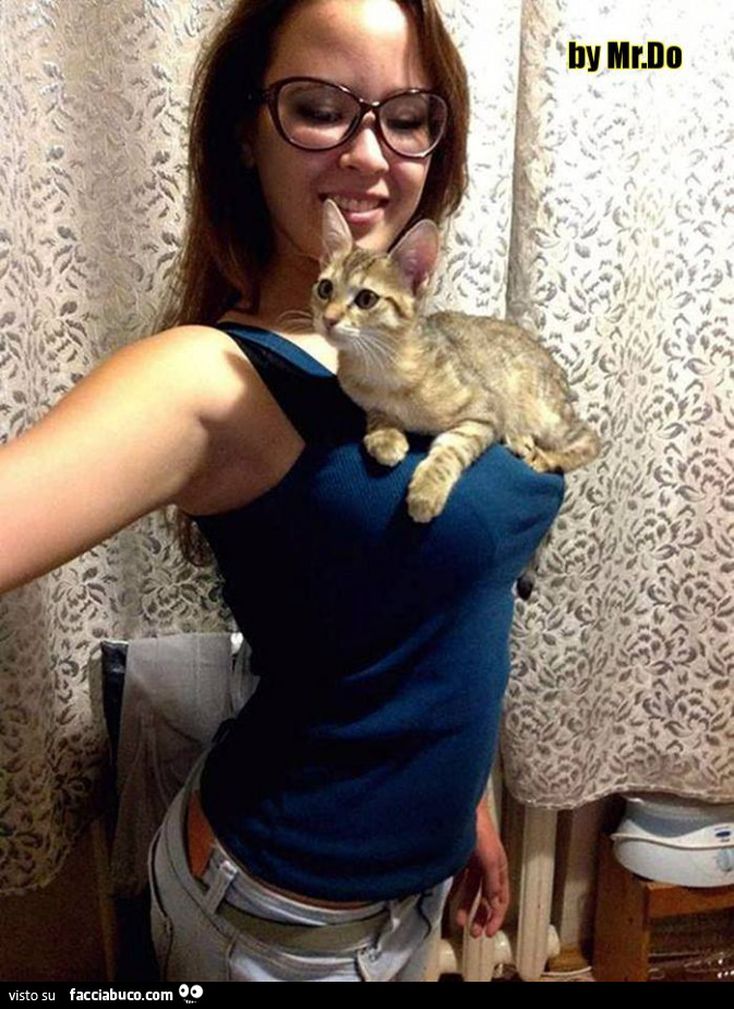 Gatto sulle tette di una ragazza mora