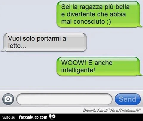 Sei la ragazza più bella e divertente che abbia mai conosciuto. Vuoi solo portarmi a letto. Woow! E anche intelligente