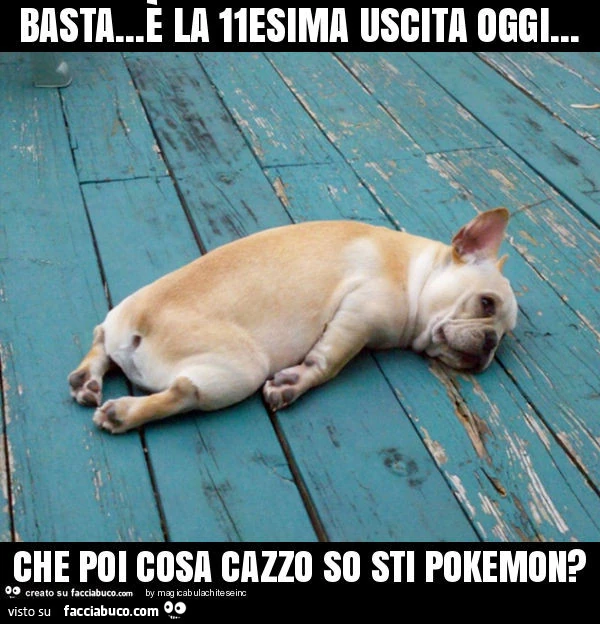 Basta&hellip;è la 11esima uscita oggi&hellip; che poi cosa cazzo so sti pokemon?