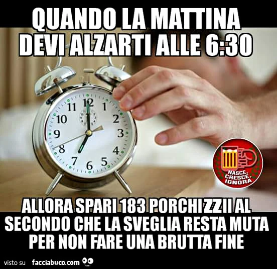 Quando la mattina devi alzarti alle 6:30 allora spari 183 porchizzii al secondo che la sveglia resta muta per non fare una brutta fine