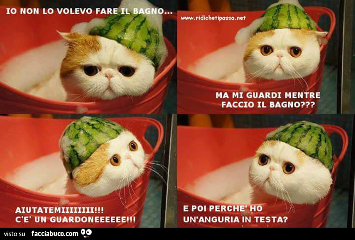 Io non lo volevo fare il bagno. Ma mi guardi mentre faccio il bagno? Aiutatemi c'è un guardone. E poi perchè ho un'anguria in testa?