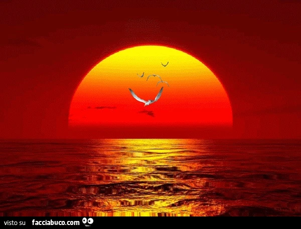 Tramonto sul mare con gabbiani in volo