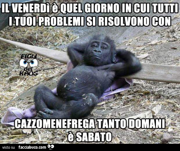 Scimmia sdraiata: il Venerdì è quel giorno in cui tutti i tuoi problemi si risolvono con cazzomenefrega tanto domani è Sabato