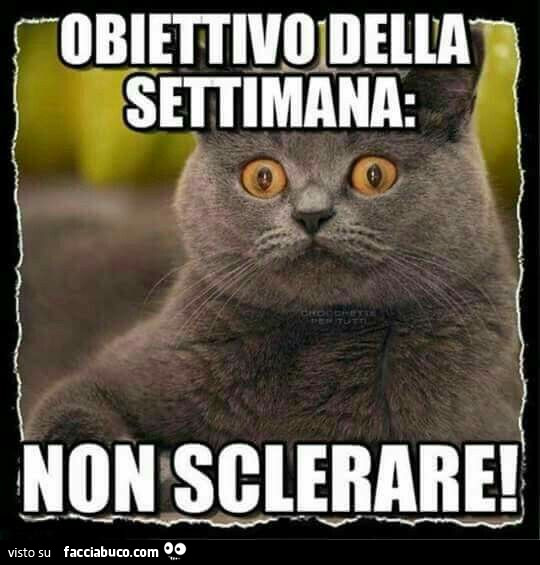 Obiettivo della settimana: non sclerare