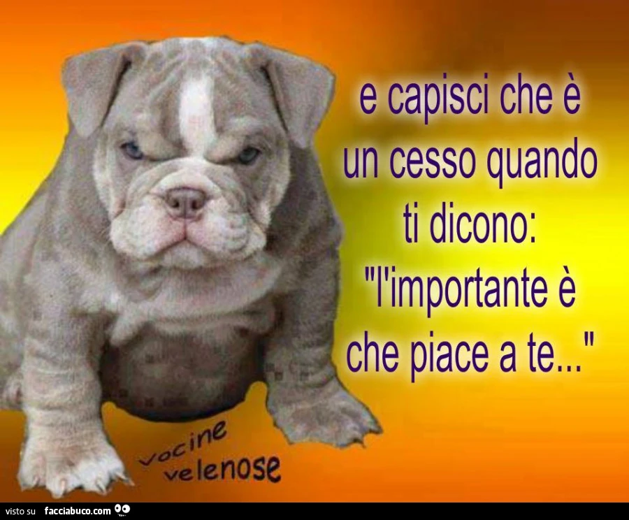 E capisci che è un cesso quando ti dicono: l'importante è che piace a te