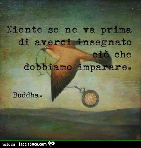 Niente se ne va prima di averci insegnato ciò che dobbiamo imparare. Buddha