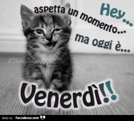 Hey aspetta un momento&hellip; ma oggi è Venerdì