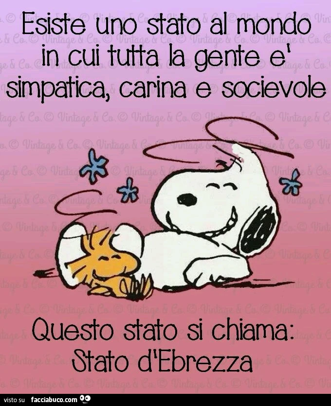 Esiste uno stato al mondo in cui tutta la gente è simpatica, carina e socievole. Questo stato si chiama Stato d'Ebrezza